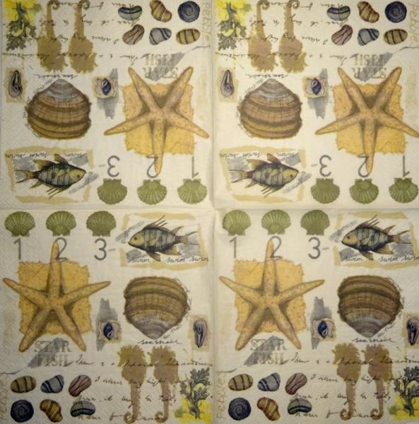 017 Muscheln - 3-lagig